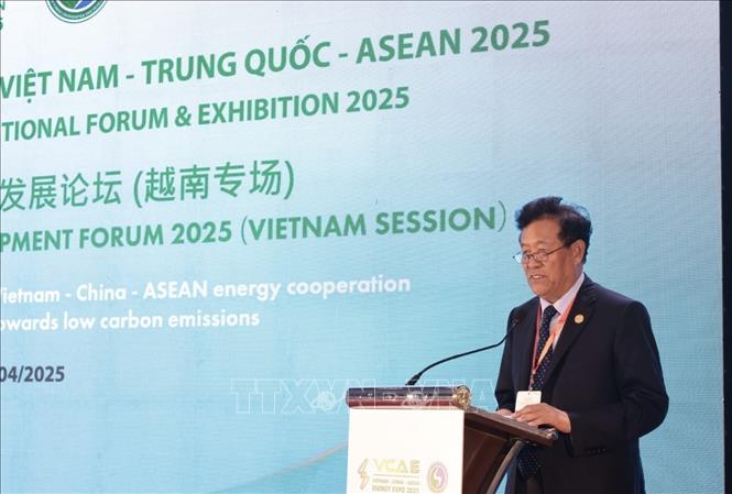 Đại diện Hội đồng Điện lực Trung Quốc phát biểu. Ảnh: Trần Việt - TTXVN 