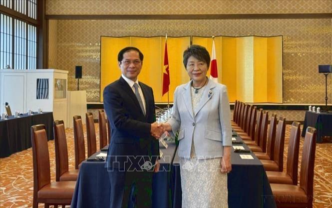 Bộ trưởng Ngoại giao Bùi Thanh Sơn và Bộ trưởng Ngoại giao Nhật Bản Kamikawa Yoko đồng chủ trì Phiên họp lần thứ 12 Ủy ban Hợp tác Việt Nam - Nhật Bản (07/08/2024). Ảnh: Phạm Tuân - TTXVN