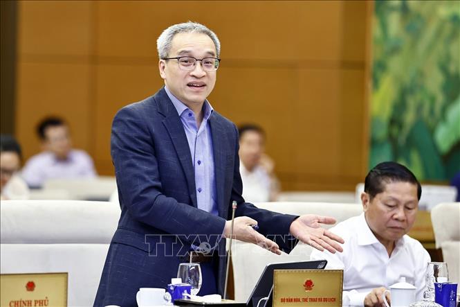 Thứ trưởng Bộ Văn hóa, Thể thao và Du lịch Phan Tâm phát biểu. Ảnh: Doãn Tấn - TTXVN