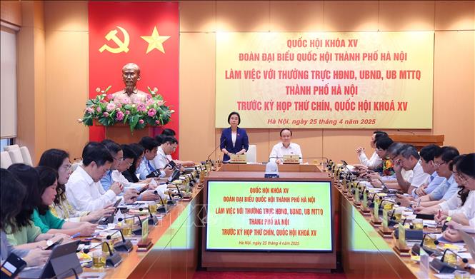 Phó Trưởng đoàn chuyên trách Đoàn đại biểu Quốc hội thành phố Hà Nội Phạm Thị Thanh Mai phát biểu. Ảnh: Văn Điệp - TTXVN