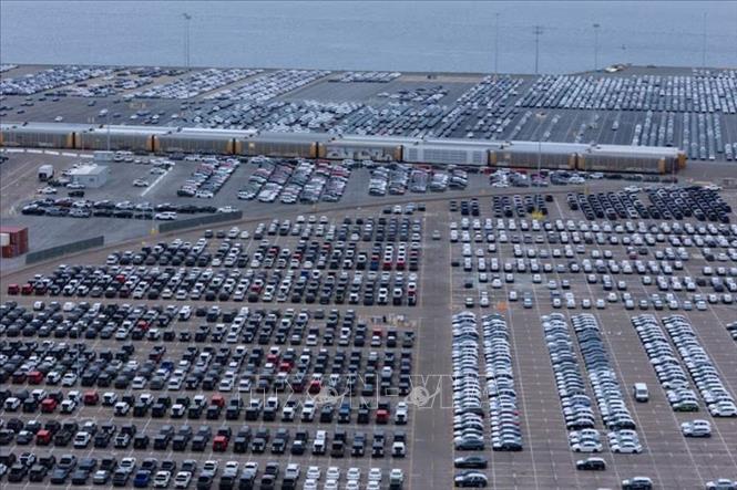 Ô tô chờ xuất cảng ở San Diego, bang California (Mỹ) ngày 26/3/2025. Ảnh: REUTERS/TTXVN