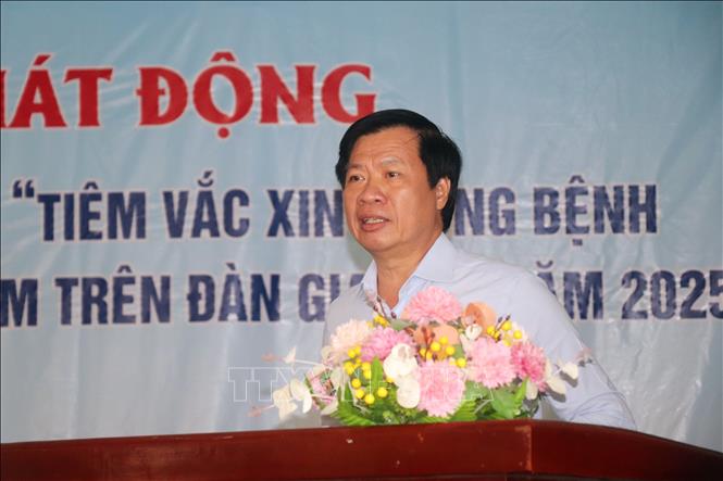 Ông Nguyễn Tấn Nhơn, Phó Giám đốc Sở Nông nghiệp và Môi trường Cần Thơ, phát động và chỉ đạo tiêm phòng vaccine đàn gia súc năm 2025. Ảnh: Thu Hiền - TTXVN