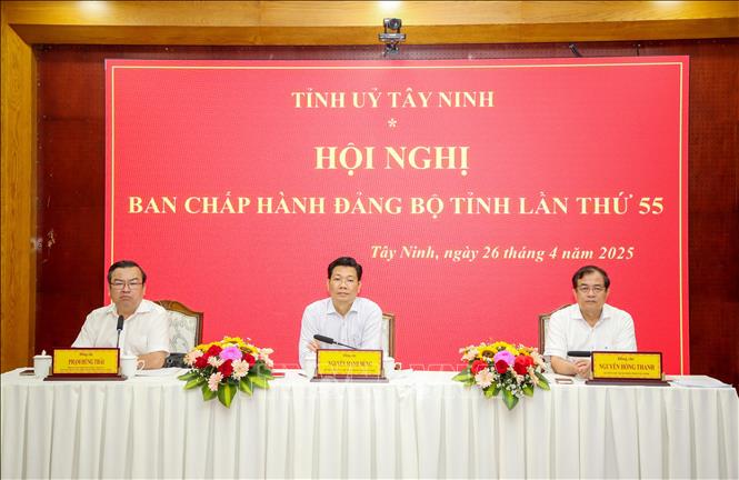 Chủ trì Hội nghị. Ảnh: Giang Phương – TTXVN