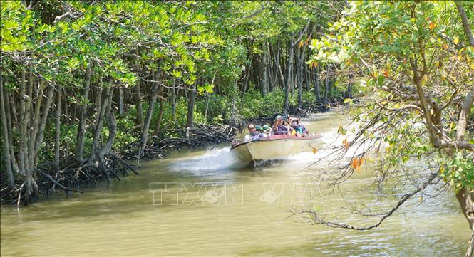 Rừng Sác đã trở thành Khu Dự trữ Sinh quyển Thế giới, nơi du khách có thể chèo thuyền, đi bộ xuyên rừng, hít thở không khí xanh. Ảnh: Hữu Duyên - TTXVN