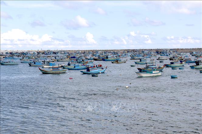 Khu neo đậu tránh trú bão cho tàu cá trên huyện đảo Phú Quý (Bình Thuận), giúp giảm thiệt hại cho ngư dân. Ảnh: Nguyễn Thanh - TTXVN 