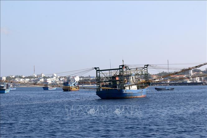 Tàu đánh bắt xa bờ tại huyện đảo Phú Quý (Bình Thuận). Ảnh: Nguyễn Thanh - TTXVN 