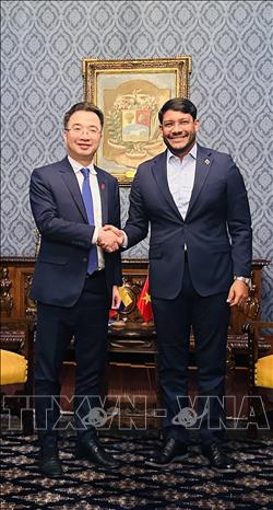Bí thư Trung ương Đoàn, Chủ tịch Hội Liên hiệp Thanh niên Việt Nam Nguyễn Tường Lâm hội kiến Phó Chủ tịch phụ trách Đối ngoại Đảng Xã hội chủ nghĩa thống nhất Venezuela Rander Pena. Ảnh: ĐSQ Việt Nam tại Venenzuela/TTXVN phát
