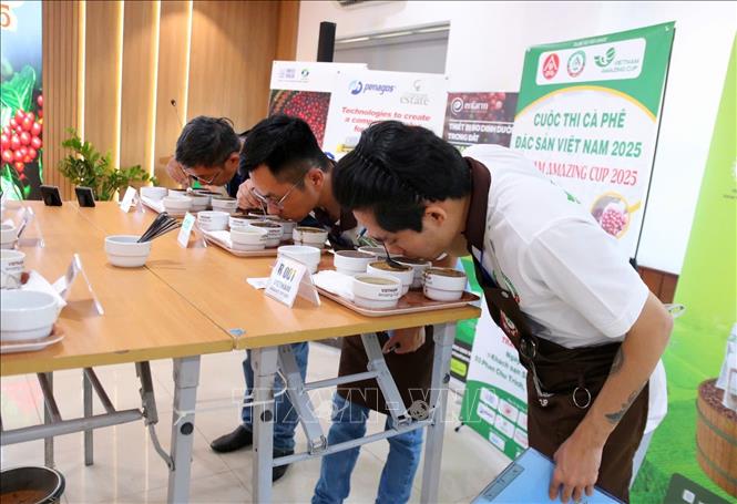 Ban giám khảo đánh giá chất lượng thử nếm các mẫu cà phê ở vòng loại cuộc thi. Ảnh: TTXVN phát.