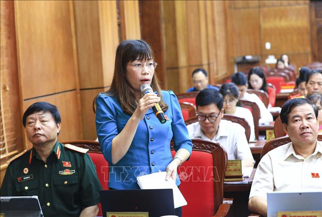 Đại biểu Cao Thị Tuyết Lan, Bí thư Huyện ủy Điện Biên phát biểu. Ảnh: Xuân Tư - TTXVN