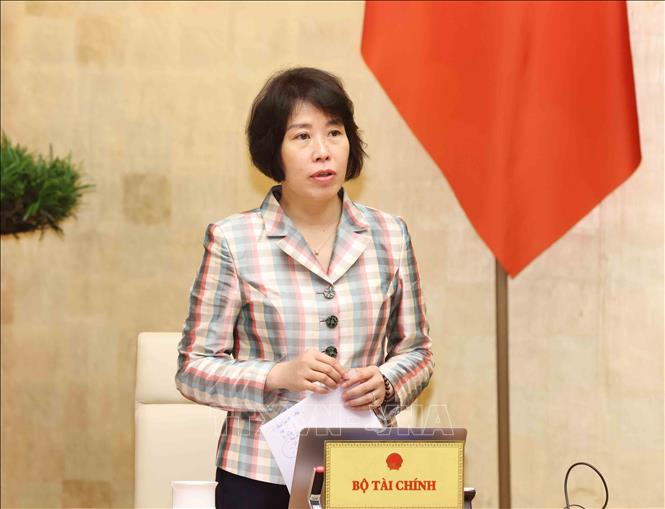 Thứ trưởng Bộ Tài chính Nguyễn Thị Bích Ngọc phát biểu tại cuộc họp. Ảnh: Phương Hoa - TTXVN
