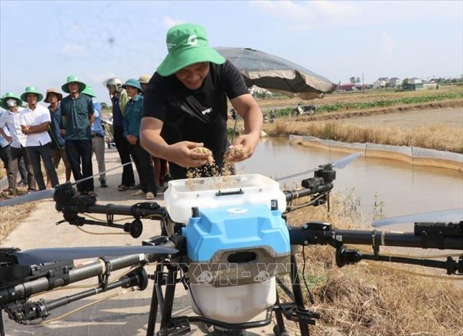 Hướng dẫn nông dân Bắc Ninh chuẩn bị gieo giống lúa bằng thiết bị bay không người lái. Ảnh: Đỗ Huyền - TTXVN