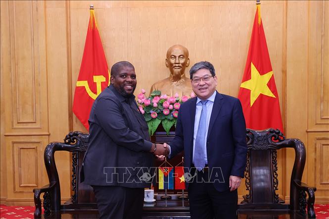 PGS.TS Nguyễn Duy Bắc, Phó Giám đốc Thường trực Học viện Chính trị quốc gia Hồ Chí Minh tiếp Tổng Thư ký Đảng Mặt trận giải phóng Mozambique Chakil Felizardo Aboobacar. Ảnh: Văn Điệp – TTXVN