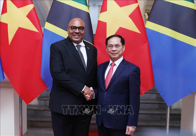 Deputy Prime Minister and Minister of Foreign Affairs Bui Thanh Son holds talks with Tanzanian Minister of Foreign Affairs and East African Cooperation Mahmoud Thabit Kombo in Hanoi on April 28. VNA Photo: An Đăng