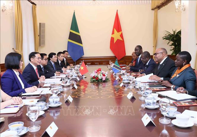 Deputy Prime Minister and Minister of Foreign Affairs Bui Thanh Son holds talks with Tanzanian Minister of Foreign Affairs and East African Cooperation Mahmoud Thabit Kombo in Hanoi on April 28. VNA Photo: An Đăng