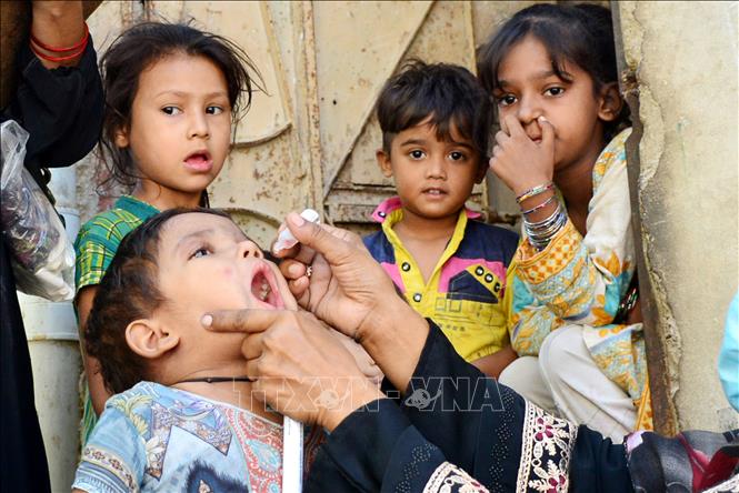 Nhân viên y tế cho các em nhỏ uống vaccine phòng bệnh bại liệt tại Hyderabad, Pakistan. Ảnh: THX/TTXVN