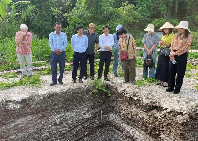 Các giáo sư, chuyên gia trong và ngoài nước cùng thành viên Đoàn khai quật thăm một trong các hố khai quật tại Di chỉ khảo cổ Quỳnh Văn. Ảnh: TTXVN phát 