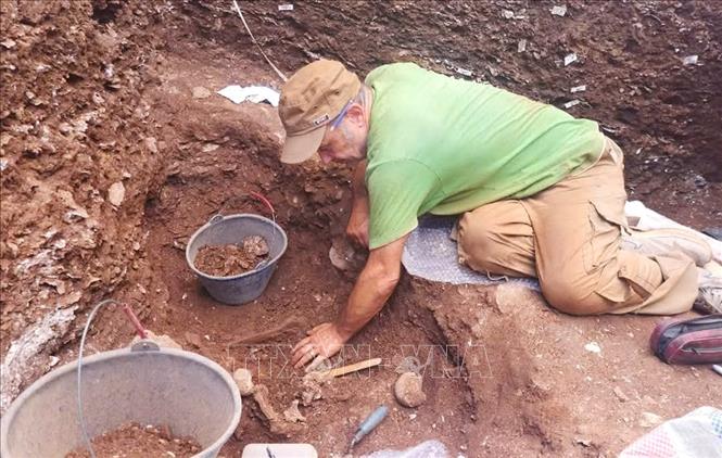 Giáo sư Philip Piper, Khoa Khảo cổ học và Nhân học, Đại học Quốc gia Australia thực hiện công việc chuyên môn tại hố khai quật thứ 2 tại Di chỉ khảo cổ Quỳnh Văn. Ảnh: TTXVN phát