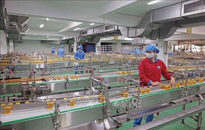Dây chuyền đóng gói tự động hiện đại mỗi ngày sản xuất hàng trăm tấn sản phẩm. Ảnh: Trần Việt - TTXVN
