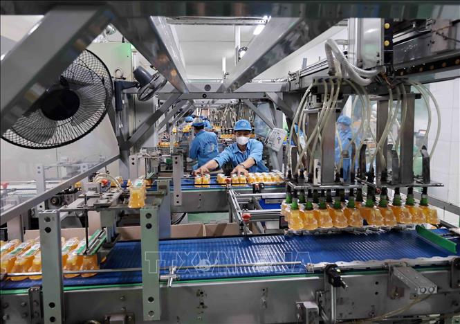 Dây chuyền đóng gói tự động hiện đại mỗi ngày sản xuất hàng trăm tấn sản phẩm. Ảnh: Trần Việt - TTXVN