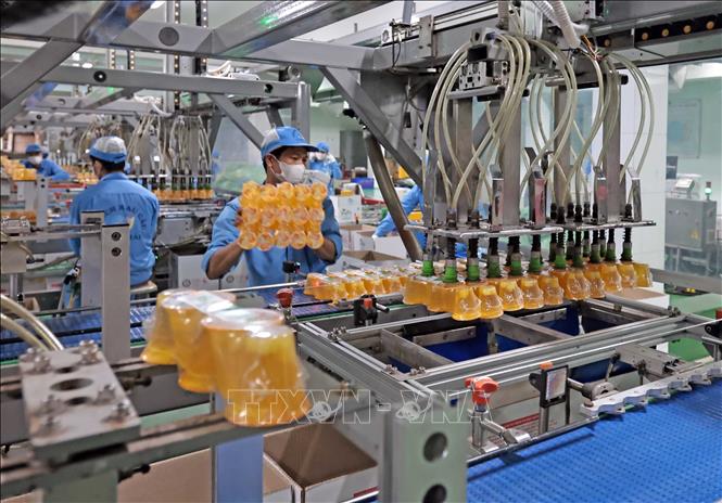 Dây chuyền đóng gói tự động tại Công ty. Ảnh: Trần Việt - TTXVN