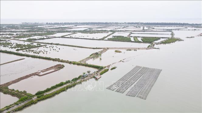 Huyện Tiền Hải có nhiều tiềm năng lợi thế để phát triển kinh tế biển. Ảnh: Thế Duyệt – TTXVN