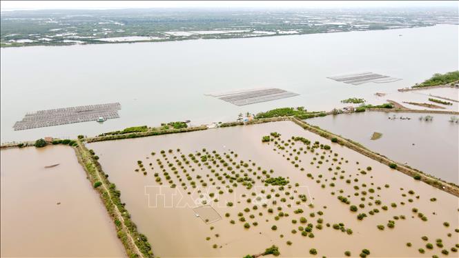 Huyện Tiền Hải có nhiều tiềm năng lợi thế phát triển kinh tế biển với 24 km đường bờ biển trải dài trên 8 xã. Ảnh: Thế Duyệt – TTXVN