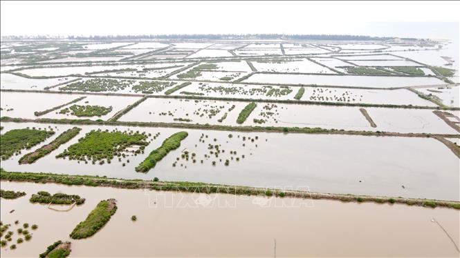 Nhiều cá nhân chiếm đất nuôi trồng thủy sản tại xã Nam Phú, huyện Tiền Hải, gây khó khăn cho việc phát triển kinh tế - xã hội. Ảnh: Thế Duyệt – TTXVN