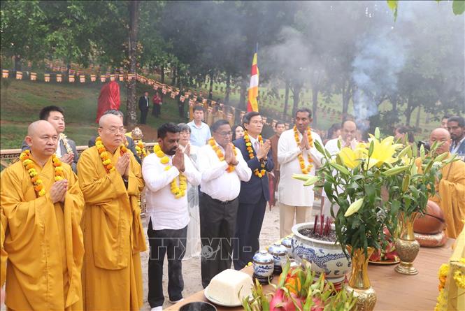 Tổng thống Sri Lanka Anura Kumara Disanayaka và đoàn công tác dâng hương tại khuôn viên trồng cây Bồ đề Vĩ Đại Cát Tường trong chùa Bái Đính. Ảnh: Đức Phương - TTXVN