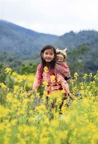 Trẻ em ở Chiêu Ly, xã Sa Lông (Mường Chà, Điện Biên) vui đùa tung tăng giữa vườn hoa cải nở rộ giữa bản làng. Ảnh: Xuân Tư –  TTXVN