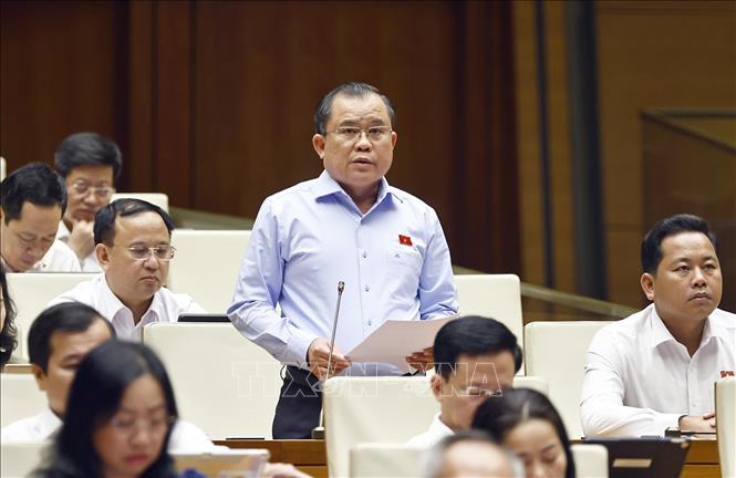 Đại biểu Quốc hội tỉnh Bà Rịa - Vũng Tàu Nguyễn Tâm Hùng phát biểu. Ảnh: Doãn Tấn - TTXVN