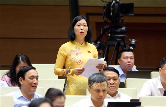 Đại biểu Quốc hội tỉnh Lào Cai Nguyễn Thị Lan Anh phát biểu. Ảnh: Phạm Kiên - TTXVN