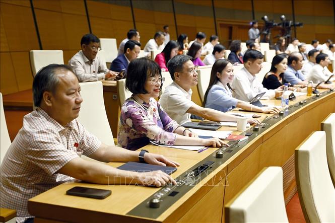 Đoàn Đại biểu Quốc hội tỉnh Gia Lai biểu quyết thông qua Nghị quyết của Quốc hội. Ảnh: Doãn Tấn - TTXVN