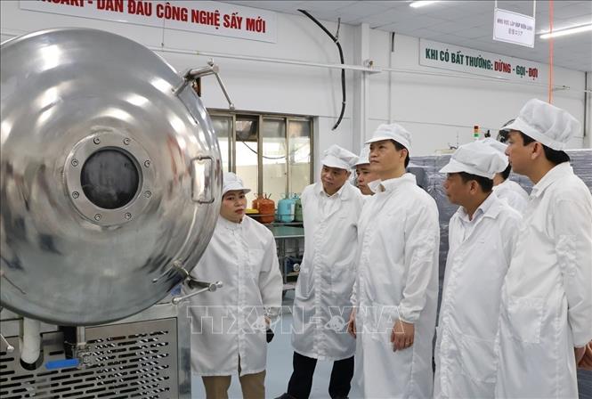 Chủ tịch UBND tỉnh Vương Quốc Tuấn (thứ 3, bên phải) thăm xưởng Công ty Cổ phần sản xuất gia công và xuất nhập khẩu Hanel, Khu công nghiệp Tiên Sơn. Ảnh: Thái Hùng - TTXVN