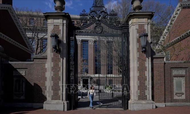 Khuôn viên Trường Đại học Harvard ở Cambridge, Massachusetts, Mỹ ngày 15/4/2025. Ảnh: REUTERS/TTXVN