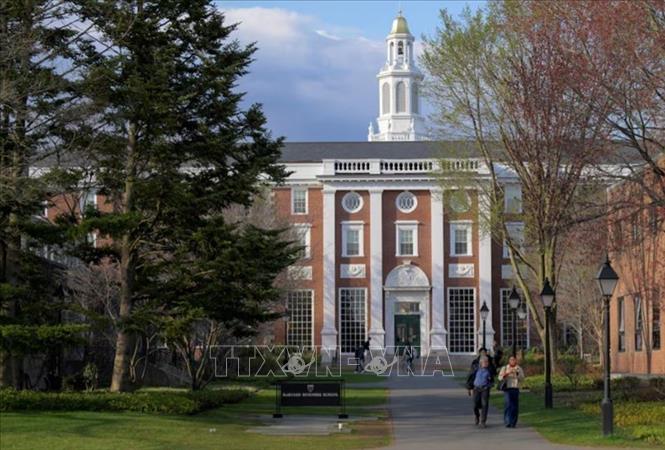 Bên trong khuôn viên Trường Đại học Harvard ở Cambridge, Massachusetts, Mỹ ngày 15/4/2025. Ảnh: REUTERS/TTXVN