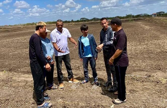 Nhóm chuyên gia Việt Nam với 4 kỹ sư giàu kinh nghiệm đồng hành cùng kỹ thuật viên Cuba trong suốt quá trình triển khai dự án nuôi tôm công nghệ cao. Ảnh: TTXVN phát