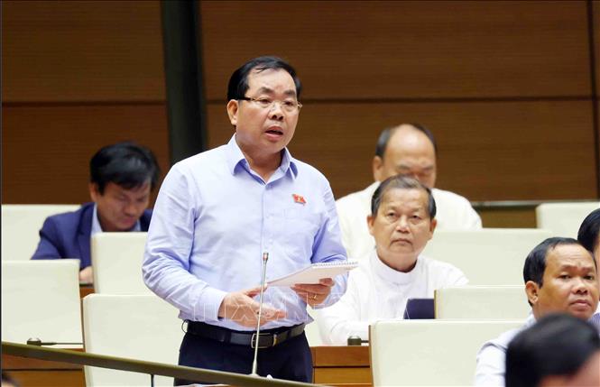 Đại biểu Quốc hội tỉnh Bình Dương Nguyễn Quang Huân tham gia tranh luận. Ảnh: Phạm Kiên - TTXVN