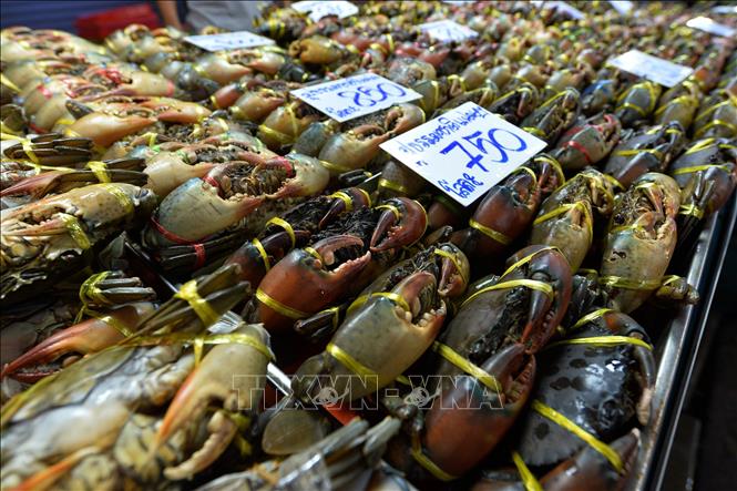 Cua được bày bán tại một chợ ở Bangkok, Thái Lan. Ảnh: THX/TTXVN