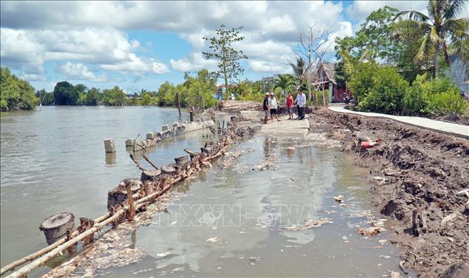 Tình trạng sạt lở, sụt lún trên tuyến đường bê tông thuộc đê tiểu vùng X – Nam Cà Mau ảnh hưởng đến đời sống và sản xuất của người dân. Ảnh: Huỳnh Anh - TTXVN
