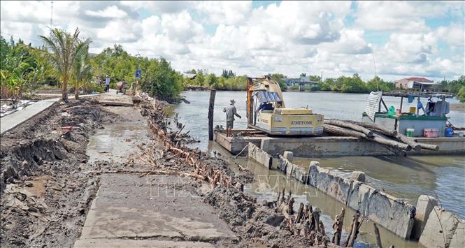 Đoạn đường bê tông thuộc đê tiểu vùng X – Nam Cà Mau bị sạt lở, sụt lún nghiêm trọng. Ảnh: Huỳnh Anh - TTXVN