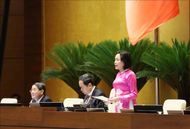 Phó Chủ tịch Quốc hội Nguyễn Thị Thanh điều hành phiên họp. Ảnh: Phương Hoa - TTXVN