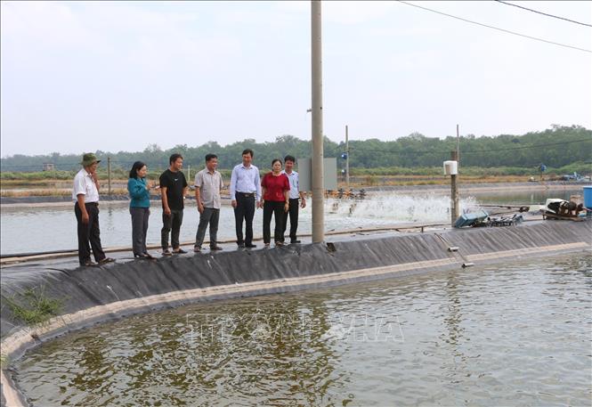 Ngành chuyên môn Sở Nông nghiệp và Môi trường tỉnh Sóc Trăng khảo sát ao nuôi tôm. Ảnh: Tuấn Phi - TTXVN