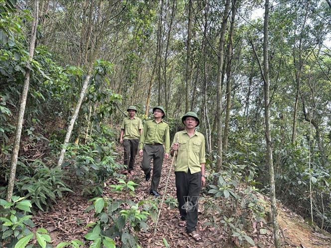 Cán bộ Hạt Kiểm lâm Hà Trung tăng cường kiểm tra công tác phòng chống cháy rừng tại địa bàn cơ sở. Ảnh: Hoa Mai - TTXVN