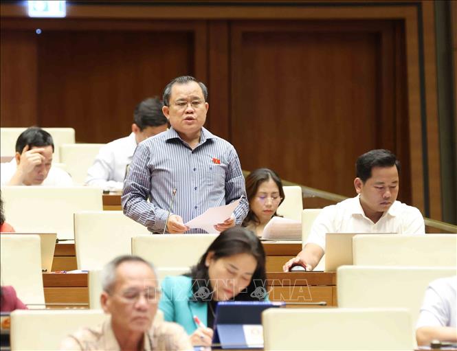 Đại biểu Quốc hội tỉnh Bà rịa - Vũng tàu Nguyễn Tâm Hùng phát biểu. Ảnh: Phương Hoa – TTXVN