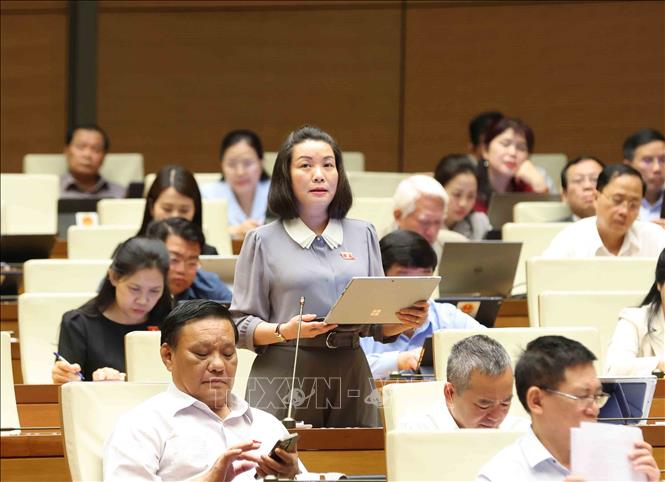 Đại biểu Quốc hội tỉnh Quảng Bình Nguyễn Minh Tâm phát biểu. Ảnh: Phương Hoa – TTXVN