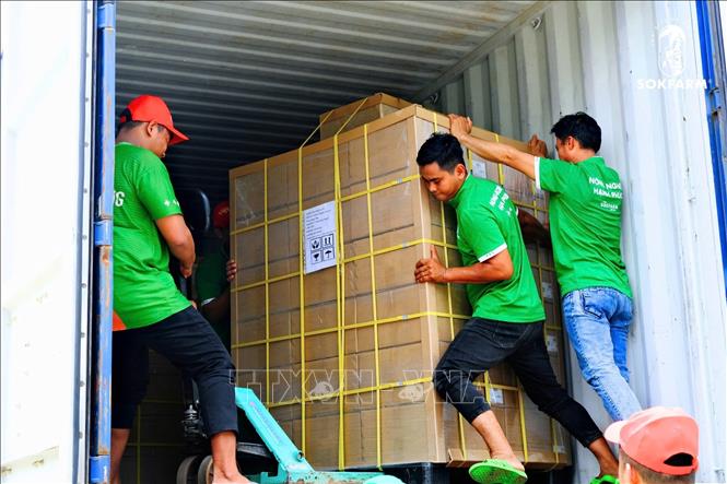 Nhân viên Sokfarm chuẩn bị lô hàng xuất khẩu sang Mỹ. Ảnh: TTXVN phát