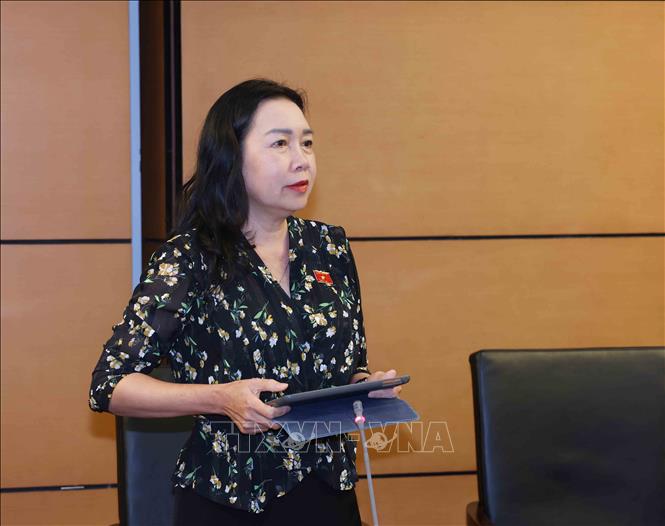 Đại biểu Quốc hội tỉnh Bình Định Lý Tiết Hạnh thảo luận ở tổ. Ảnh: Phương Hoa – TTXVN
