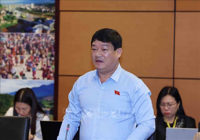 Đại biểu Quốc hội tỉnh Quảng Ngãi Lương Văn Hùng thảo luận ở tổ. Ảnh: Phương Hoa – TTXVN