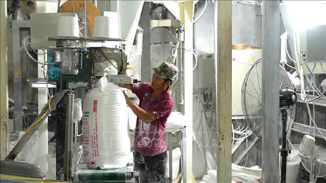 Đóng bao tinh bột sắn tại Công ty TNHH tinh bột khoai mì Hưng Long, huyện Dương Minh Châu, tỉnh Tây Ninh. Ảnh: Minh Phú - TTXVN