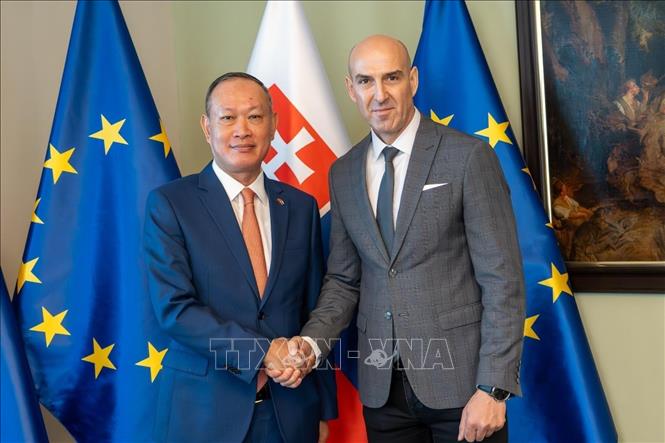Đại sứ Việt Nam tại Slovakia Phạm Trường Giang và Cố vấn Bộ trưởng Bộ Nội vụ Slovakia Ladislav Csémi. Ảnh: TTXVN phát